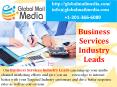Business Services Industry Leads PowerPoint PPT Presentation