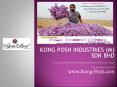 SAFFRON and its uses- PowerPoint PPT Presentation