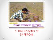 The Benefits of SAFFRON