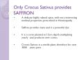 Only Crocus Sativus provides SAFFRON PowerPoint PPT Presentation