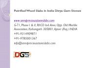 Petrified Wood Slabs in India Divya Gem Stonex