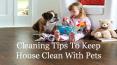 Cleaning Tips To Keep House Clean With Pets PowerPoint PPT Presentation