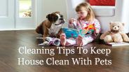Cleaning Tips To Keep House Clean With Pets