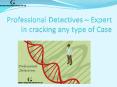 Professional Detectives Expert in crackingany type of Case PowerPoint PPT Presentation