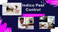 Best Pest Control in Uttam Nagar PowerPoint PPT Presentation