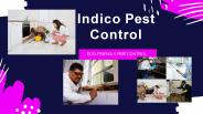 Best Pest Control in Uttam Nagar