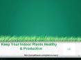  Importance Steps for care of Plant Nursery PowerPoint PPT Presentation