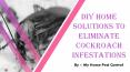 DIY Home Solutions to Eliminate Cockroach Infestations PowerPoint PPT Presentation