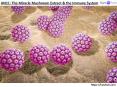 AHCC - HPV Treatment: The Miracle Mushroom Extract & the Immune System PowerPoint PPT Presentation
