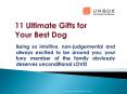 11 Ultimate Gifts for Your Best Dog PowerPoint PPT Presentation