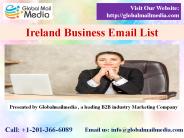 Ireland Business Email List