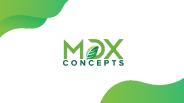 MDX Concepts