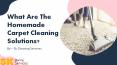 What Are The Homemade Carpet Cleaning Solutions? PowerPoint PPT Presentation