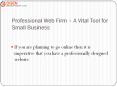 Professional Web Firm – A Vital Tool for Small Business PowerPoint PPT Presentation