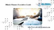 Illinois Finance Executives Leads