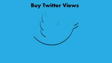 Why Twitter Hosting Hirable Views for Profile?
