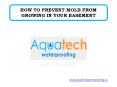 HOW TO PREVENT MOLD FROM GROWING IN YOUR BASEMENT PowerPoint PPT Presentation