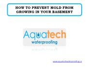 HOW TO PREVENT MOLD FROM GROWING IN YOUR BASEMENT