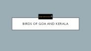 Birding in south india