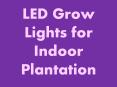 LED Grow Lights for Indoor Plantation PowerPoint PPT Presentation