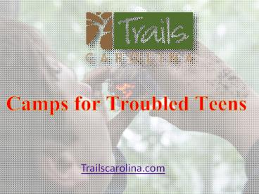 Camps for Troubled Teens