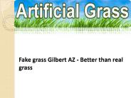 Fake grass Gilbert AZ - Better than real grass