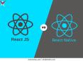 ReactJS Vs React Native: Understanding Differences, Advantages, Disadvantages PowerPoint PPT Presentation