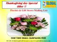 Florists & Gift Stores Mailing data PowerPoint PPT Presentation