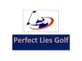 perfectlies PowerPoint PPT Presentation
