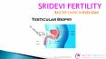 Testicular Biopsy Cost in Hyderabad | Best Male Infertility Doctors in Hyderabad PowerPoint PPT Presentation