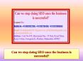 Can we stop doing SEO once the business is successful? PowerPoint PPT Presentation