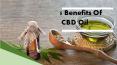 Top 5 benefits and uses of CBD oil PowerPoint PPT Presentation