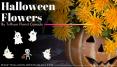 Celebrate 2019 Halloween with Trillium Florist Canada PowerPoint PPT Presentation