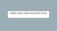 Nepal bird and wildlife tour