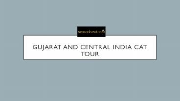 Gujarat and central india cat tour