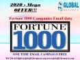 Fortune 1000 Companies Email data PowerPoint PPT Presentation