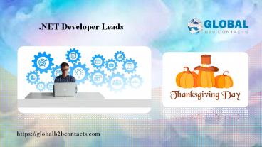 .NET Developer Leads