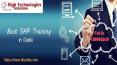 Best Sap Training Center in Delhi