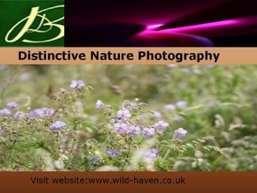 Distinctive Moments Photography