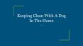 Keeping Clean With A Dog In The Home PowerPoint PPT Presentation