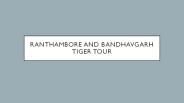 indian wildlife Tours