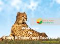 African safari vacation packages Zambia PowerPoint PPT Presentation