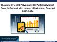 Biaxially Oriented Polyamide (BOPA) Films Market growth outlook with industry review and forecast 2019-2024 PowerPoint PPT Presentation
