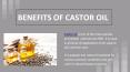Benefits of CastorOil PowerPoint PPT Presentation