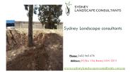 Wollongong Tree Reports - Sydneylandscape