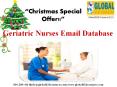 Geriatric Nurses Email List PowerPoint PPT Presentation