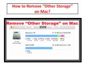 How to Remove ‘‘Other Storage’’ on Mac?
