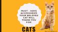 Must - Have Accessories Your Beloved Cat Will Thank You For! PowerPoint PPT Presentation