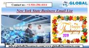 New York State Business Email List