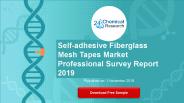 Self-adhesive Fiberglass Mesh Tapes Market Professional
